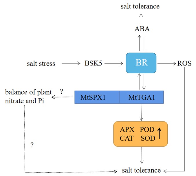 243d033f163b487e8a42b871b3bc55a7 (1).jpg