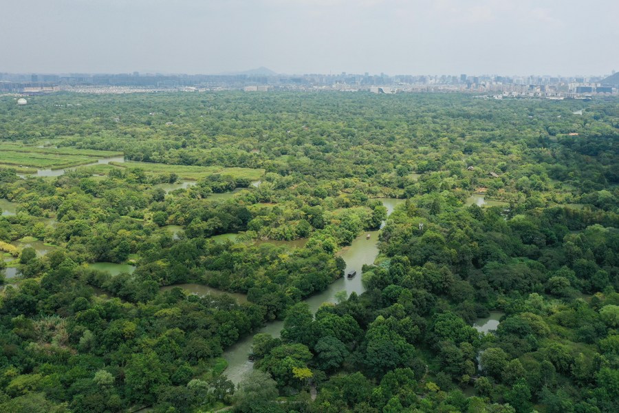 Aerial photo taken on Aug. 22, 2020 shows the scenery of the Xixi National Wetland Park in Hangzhou, east China's Zhejiang Province.jpg
