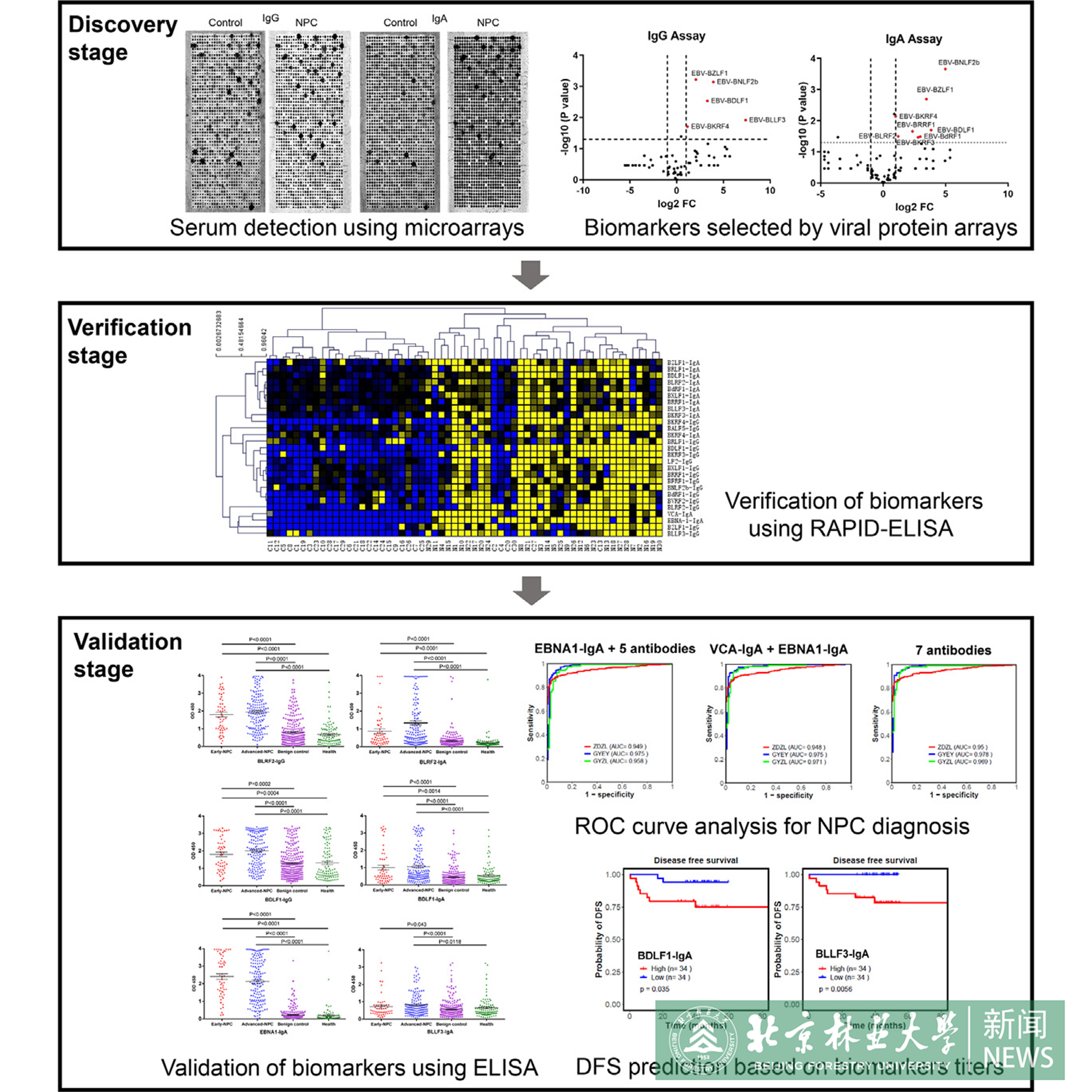 f4019adcff734f3b8acb98b66f83707c (1).png