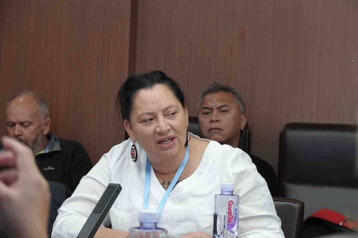 Bruce McKinly NZ DoC and Sheridan Waitai and Robert Akuhata, from Far North iwi Ngāti Kuri in Beijing