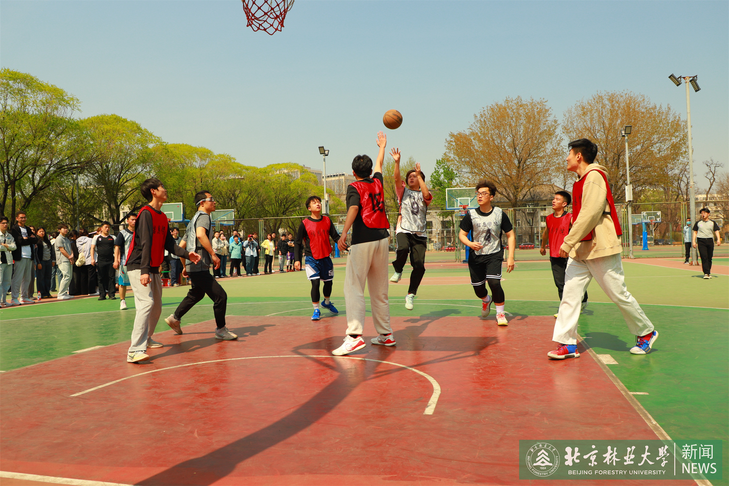 照片3.jpg