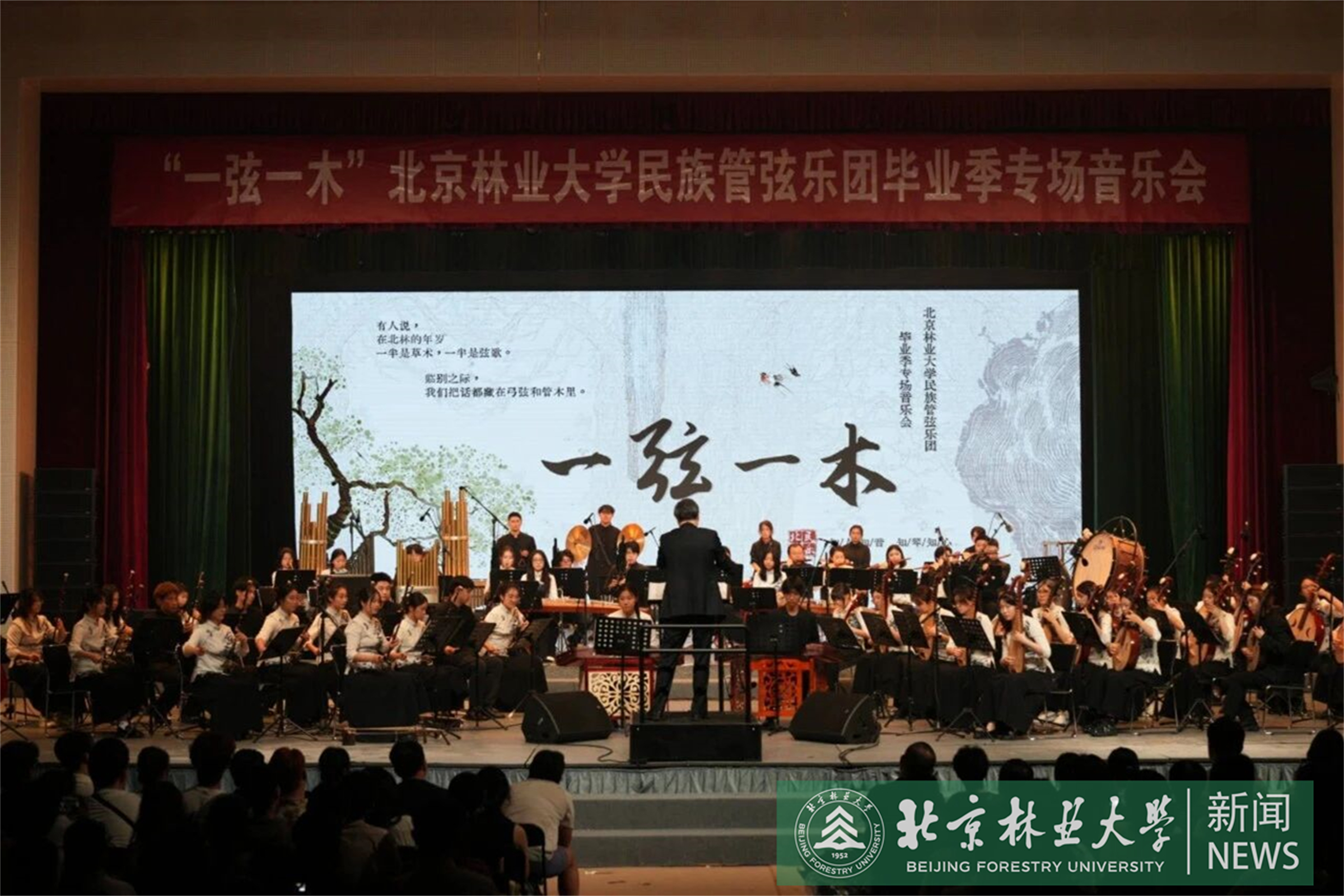 民乐1.jpg